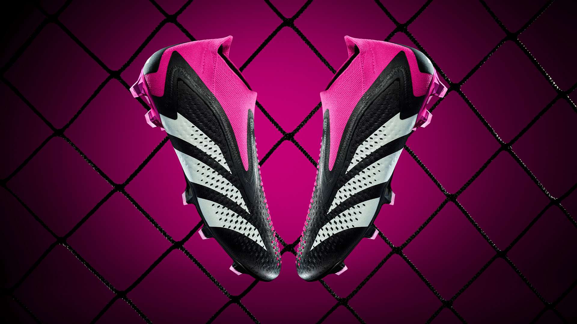 甚至放弃了 甚至放弃了